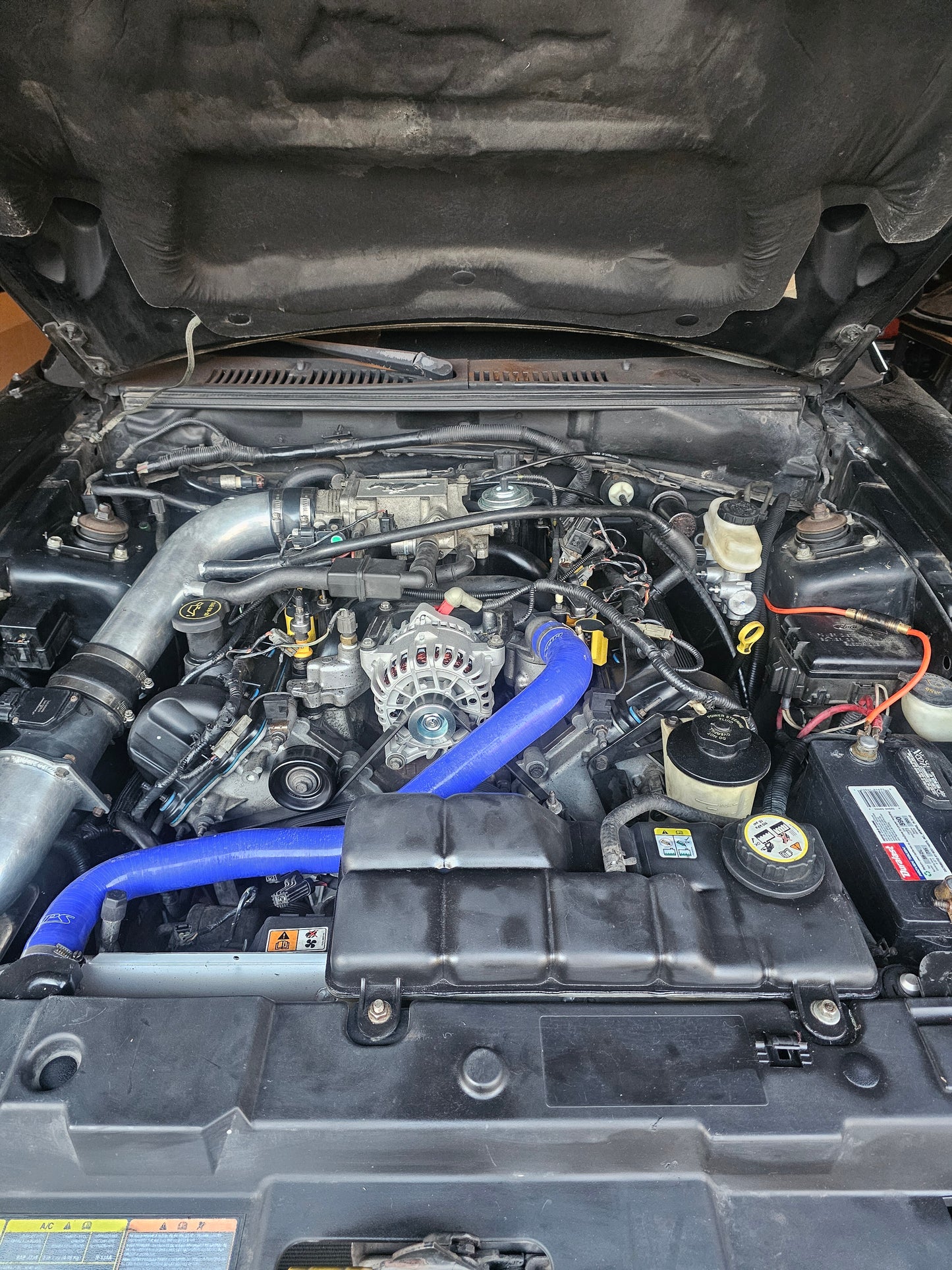 Engine Bay Cleaning