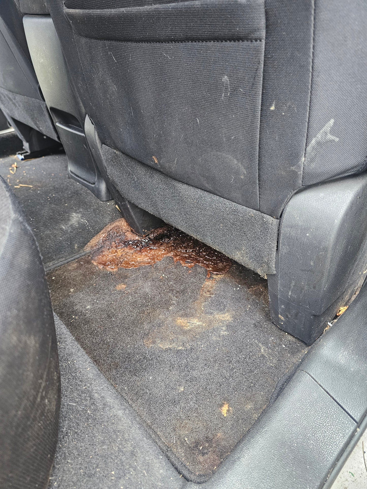 Premium Interior Detail