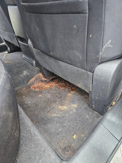 Premium Interior Detail