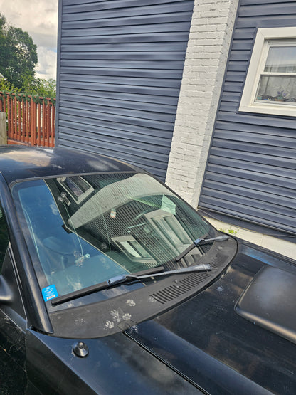 Premium Exterior Wash