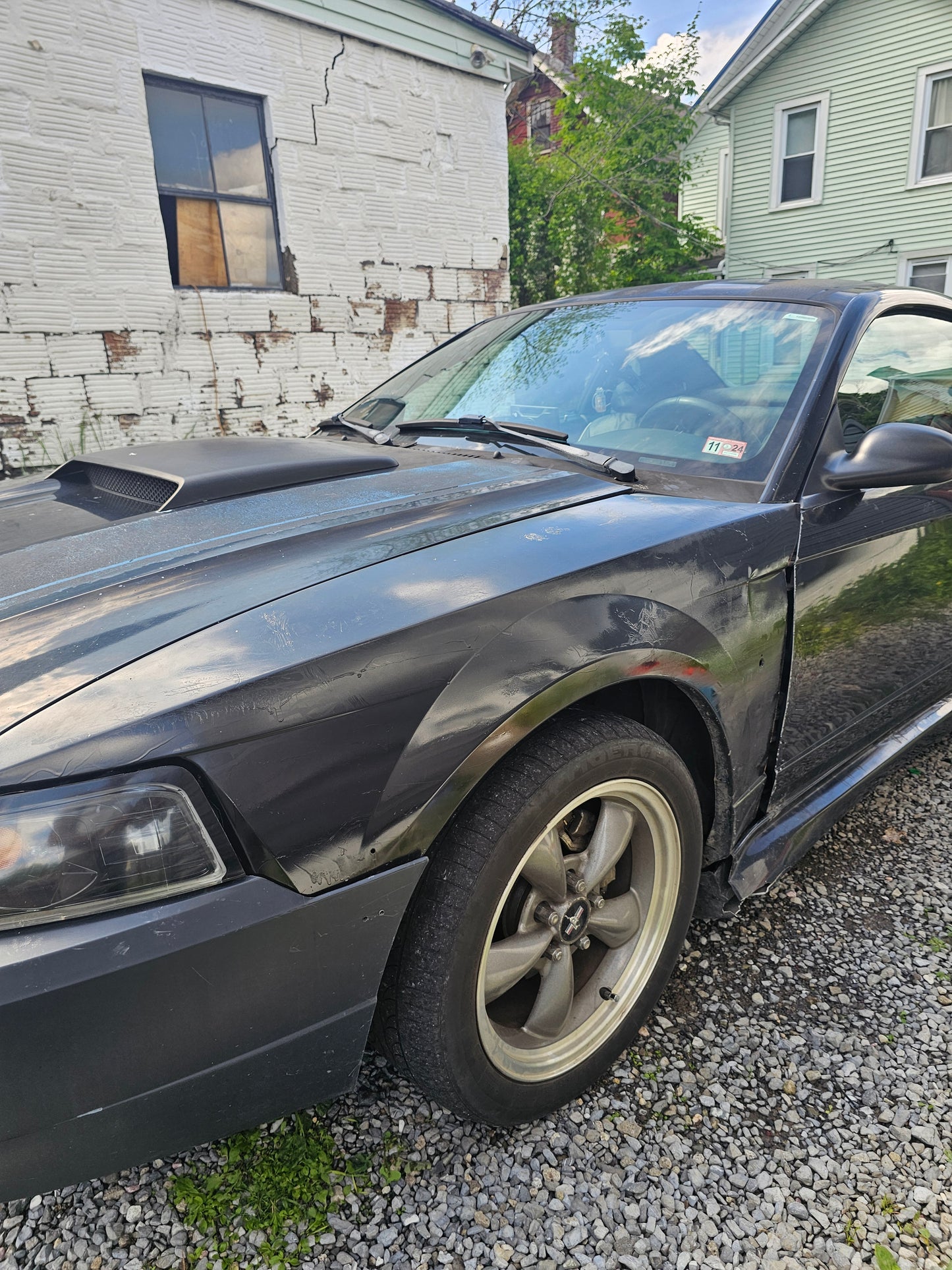 Premium Exterior Wash