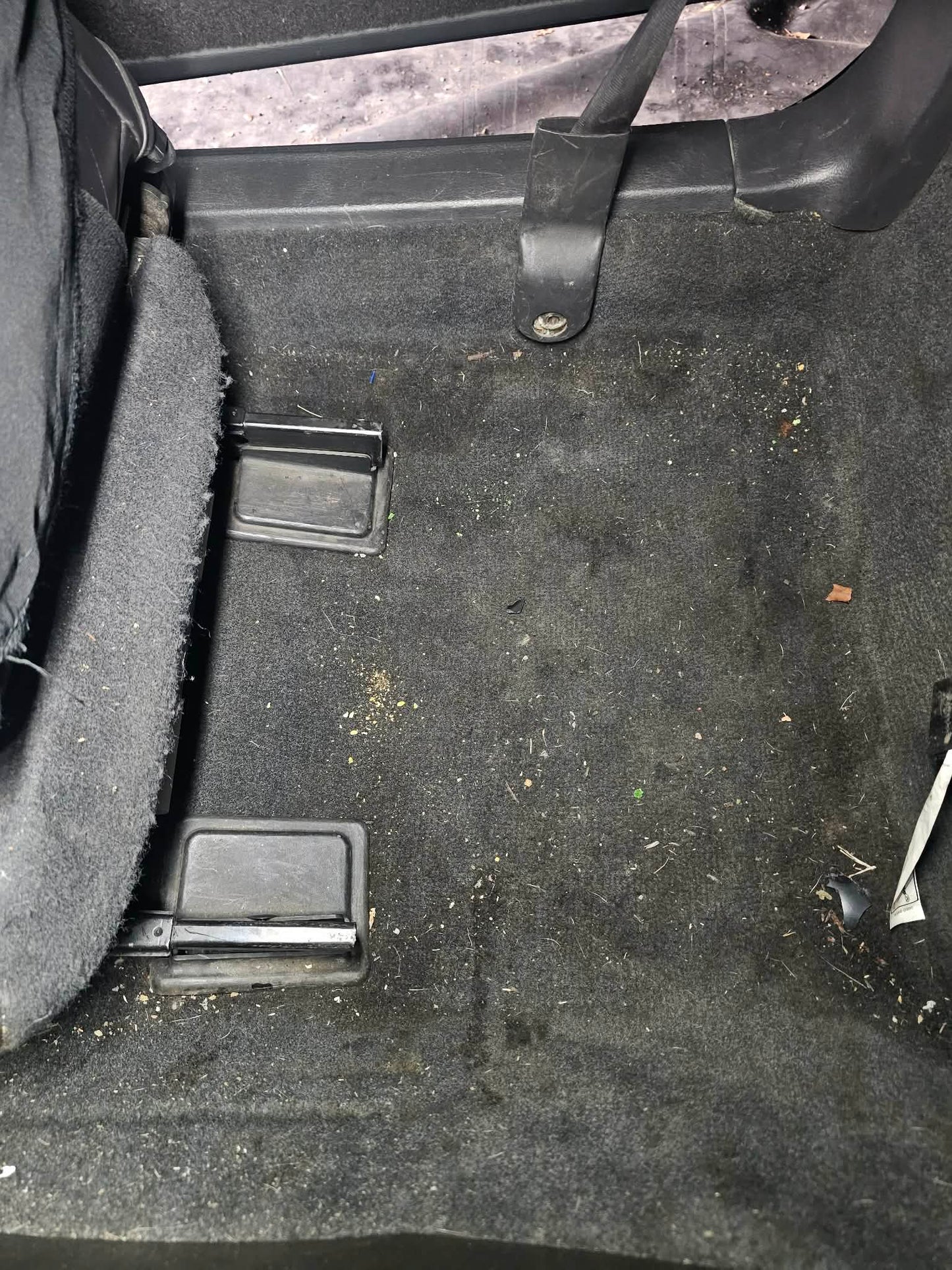 Premium Interior Detail