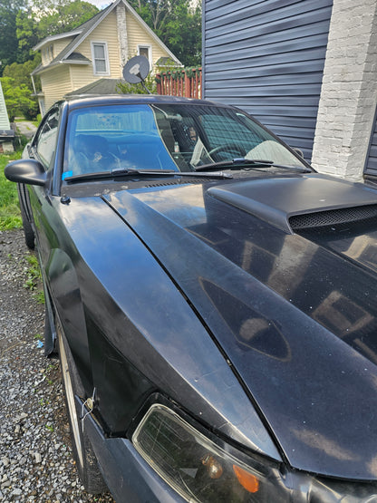 Premium Exterior Wash